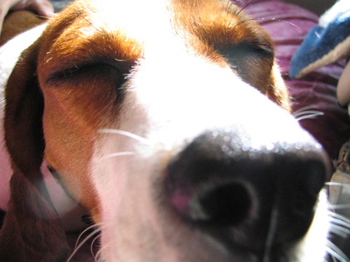 morgwei's profile picture. i'm a learner, i'm a lover, i'm a taster, i'm a dreamer and i'm me.