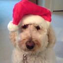 Jay Cantor - @jscantor - Twitter