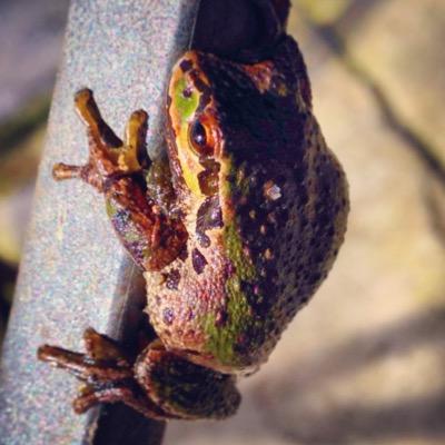 earlybio's profile picture. Former North Texas Biology teacher. Explore Life. Class account. Also found @ohsoearly