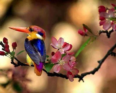 ‏استغفر الله