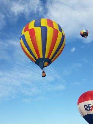 ZaraWoodsen's profile picture. YOLO!