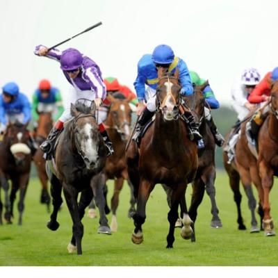 For all your horse racing tips, follow me