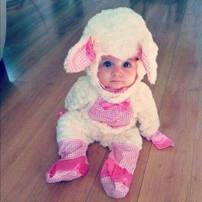 赤ちゃん面白ハプニング D0phkbm2vzv2zxq Twitter 赤ちゃん面白ハプニング D0phkbm2vzv2zxq Twitter