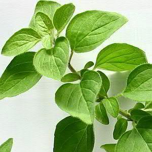 春からUTS1　UT関係フォローしてます　よろしく！