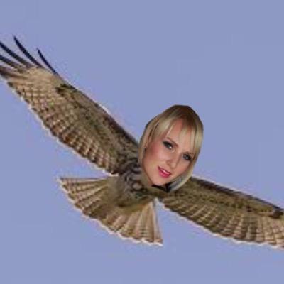 AimeeHawker's profile picture. Aimee HAWKer Ornaethologist extraordinaire!!!! I love to take photos of birds and identify them.