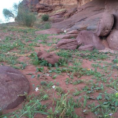 ‏‏‏اللهم صلي على سيدنا محمد وعلى ال محمد كما صليت على ابراهيم وعلى ال ابراهيم وبارك اللهم على محمد وعلى ال محمد كما باركت على ابراهيم وعلى ال ابراهيم انك حميد م