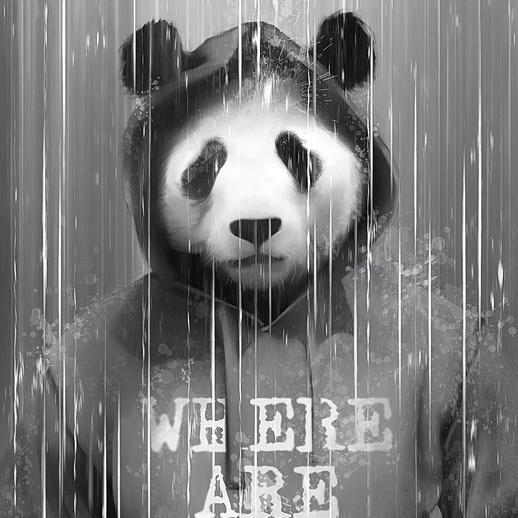 john4west's profile picture. 