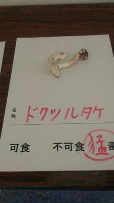💎←生きる糧にしております。ちょっと太鼓やってたよ。