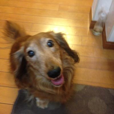 社交ダンスと中長期投資が趣味です～ツイッター見て 勉強中です！よろしく(#^.^#)
そして 専業〜って言っても主婦で 時間が取れるから ついデイトレまでしたくなって^^; デイトレ〜  成果なしです…