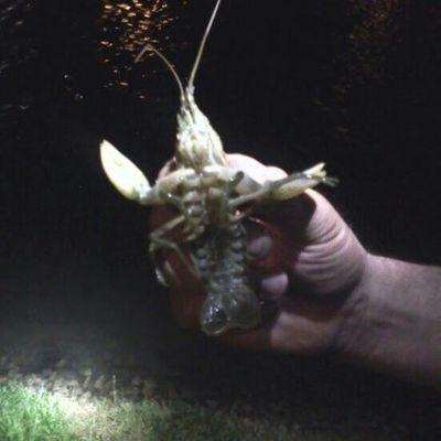 StockerCody's profile picture. 