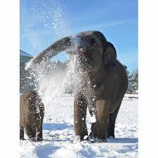 __Sarah_beara_'s profile picture. 