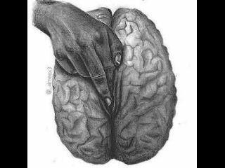 ChanceLotus's profile picture. soliloquy.