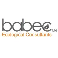 Babec Ltd(@babecLtd) 's Twitter Profile Photo