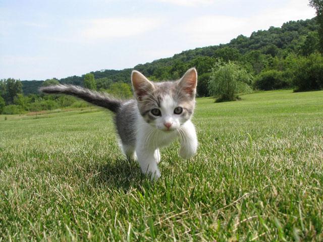 noarruma's profile picture. 