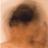 PalomaTendero's profile image