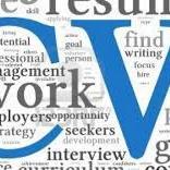 CVonline365's profile picture. 