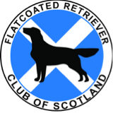 Flatcoated Retriever Club of Scotland aims to encourage the wellbeing of flatcoats, responsible ownership, working, training and showing of the breed