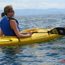 Patty Ryan - @pattyryan32 - Twitter