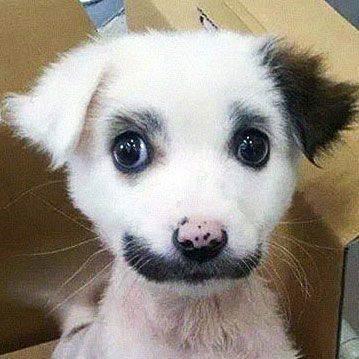 HeftyCo's profile picture. 