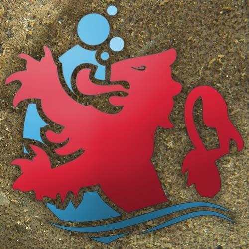 Zeeland heeft het mooiste duikwater van de Benelux: Het Grevelingenmeer, de Oosterschelde, het Veerse Meer en natuurlijk de Noordzee. Laat je verrassen!