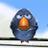H4msa's profile image