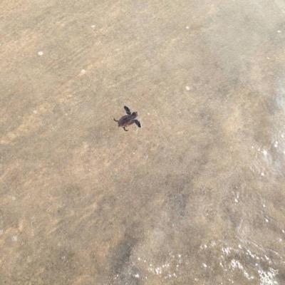 波乗り最高‼️ 海最高‼️ 日本海大好き えぇ波当てたら
それだけで ご機嫌さん