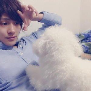 財前 光 ミュージカル『テニスの王子様』『新テニスの王子様』公式サイト