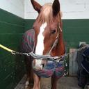 Kevin Wegner - @KAROLINGERTSF - Twitter