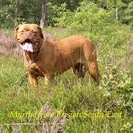 DJ_WINGSOFLOVE's profile picture. 