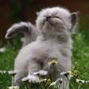 Anna Bucci - @AnnaBucci1972 - Twitter