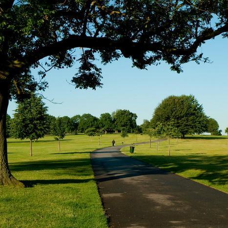 The Lambeth Parks Forum works with Friends of Parks groups and Lambeth Council to protect, enhance, and promote the safe enjoyment of Parks and Greenspaces.