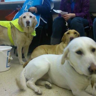 We're a fundraising branch who passionately support our team Guide Dogs NI