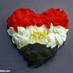 Zizi.a ahmed (@ninabelle743) Twitter profile photo