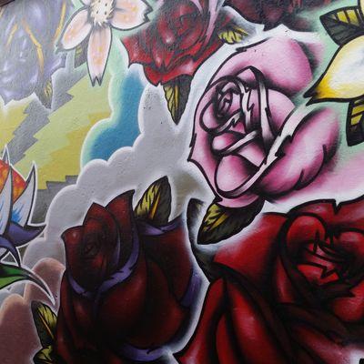 serotoniinin's profile picture. My passions are health, psychology and travelling!