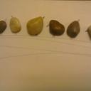 Jackie Sheehan - @jackiesheehan48 - Twitter