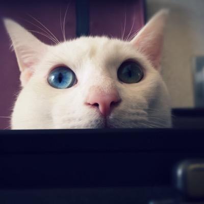 sinさんのプロフィール画像