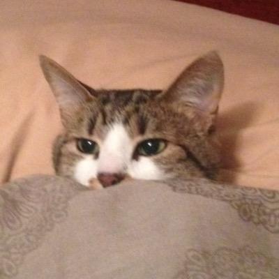 awigs42's profile picture. 