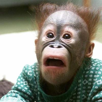 laceycagney's profile picture. 