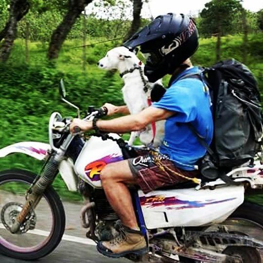 jkoomesser's profile picture. Have Camera, Must Swim. 
I'm an in-water photographer with a passion for creating surf panoramas.