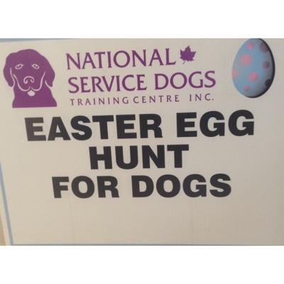 National Service Dog Brampton Easter Egg Hunt for Dogs! NSD welcomes you to our hunt on Good Friday March 25 2016 at 8870 McLaughlin Road Brampton!