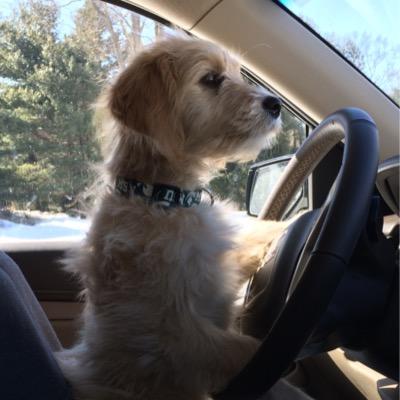 KellyWerner2's profile picture. 