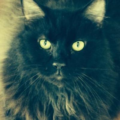 HauserVicki's profile picture. 