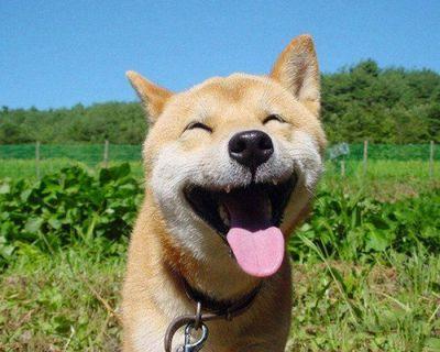 jamás dejes de luchar por mantener viva tu sonrisa...