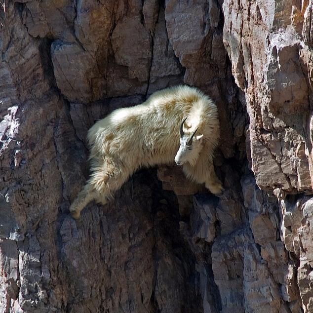 TodayInOuray's profile picture. Community Cheerleader