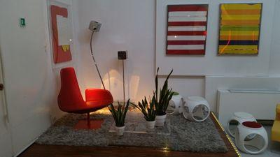 MgGiannotta's profile picture. 