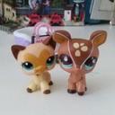 daisy vinas - @vinas_daisy - Twitter