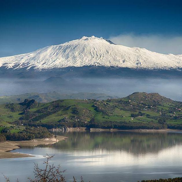 algolBetaPer's profile picture. 