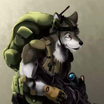 I am CSM Renix Yamic, Former soldier of the Dahl Military. I left Dahl to become a Vault Hunter. #MVRP #18+