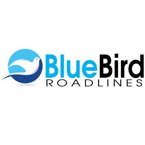 BLUE BIRD TRANS SOLUTIONS PVT LTD