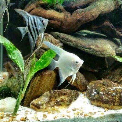 DanHiteshew's profile picture. 